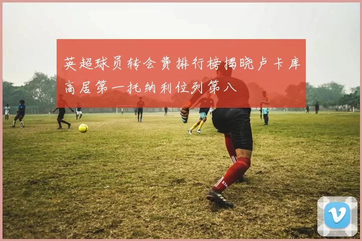 英超球员转会费排行榜揭晓卢卡库高居第一托纳利位列第八